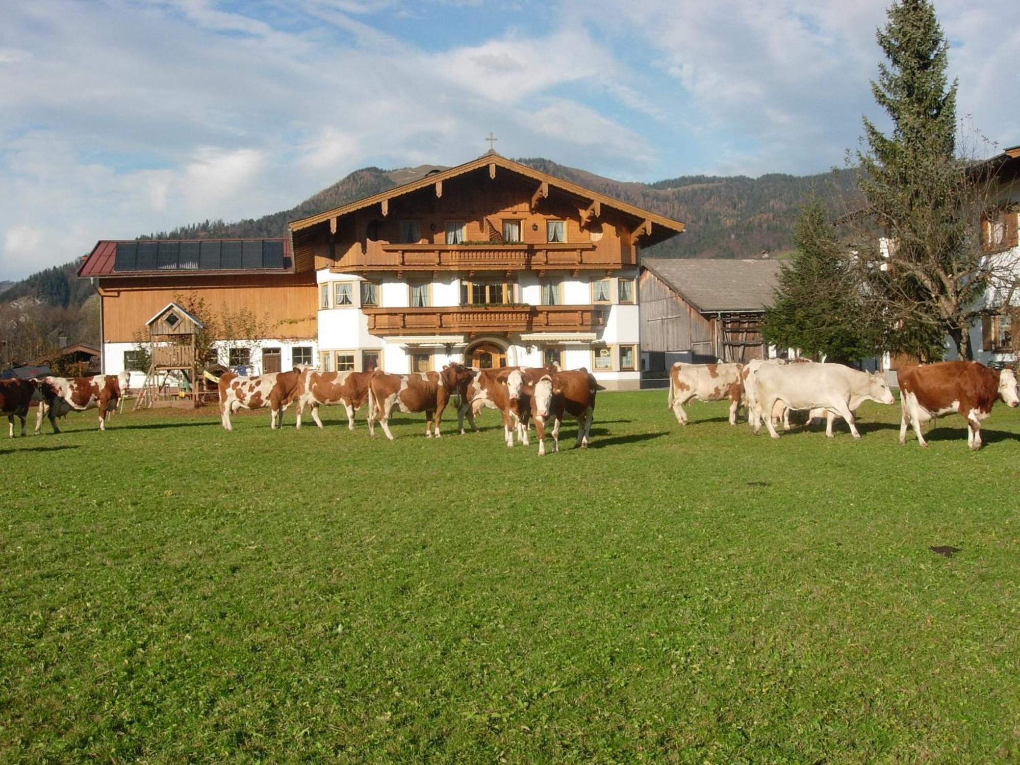 Huettschmiedhof Vila Kössen Quarto foto